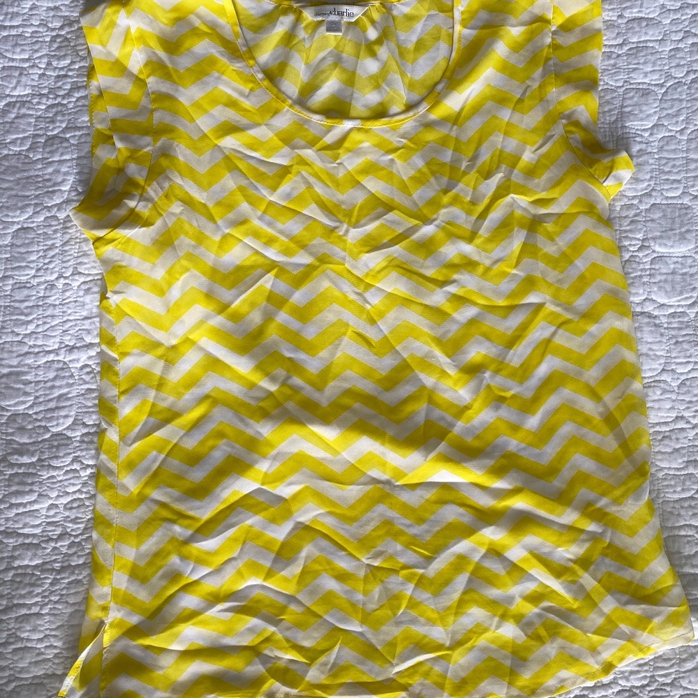 Charming Charlie   Chevron Blouse